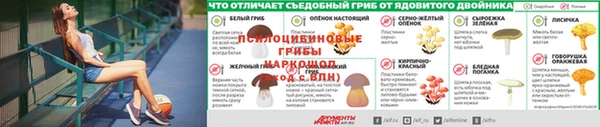 каннабис Богородицк